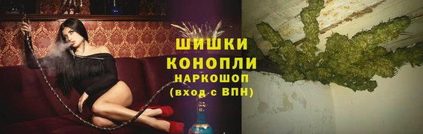 МДПВ Каменногорск