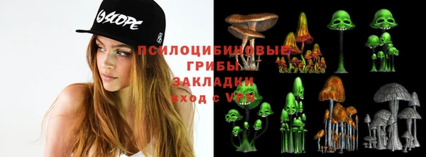прущая мука Каменка