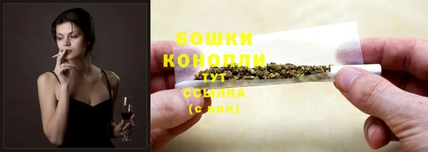 МДПВ Каменногорск