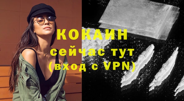 МДПВ Каменногорск