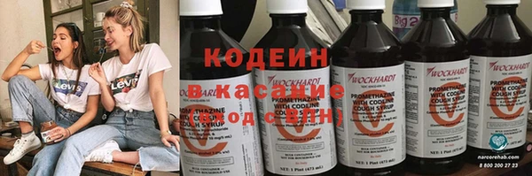 МДПВ Каменногорск