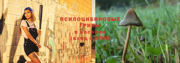 прущая мука Каменка